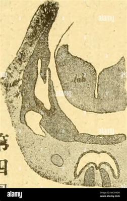 那曲小游戲代理加盟及手游代理網(wǎng)絡(luò)技術(shù)開發(fā)全解析